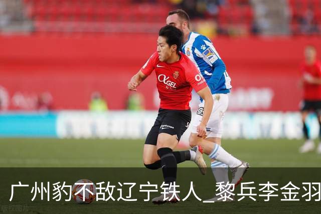 广州豹不敌辽宁铁人 黎兵李金羽斗法 然后惺惺相惜
